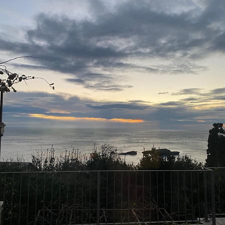 Paradiso Apartments - Liman1 Ulcinj Eksteriør bilde