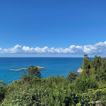 Paradiso Apartments - Liman1 Ulcinj Eksteriør bilde